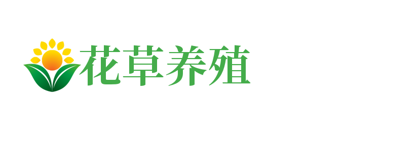 必一·运动(B-Sports)官方网站